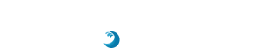 Logo POMPE DI PROCESSO bianco